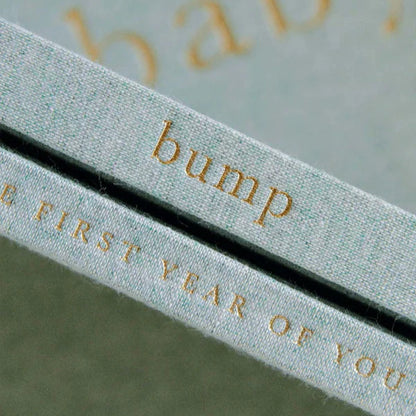 Bump Pregnancy Journal (seafoam green)