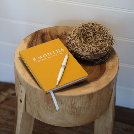 9 Months of You - Pregnancy Journal - My Memory Books