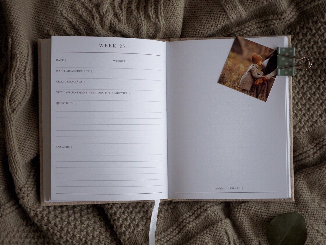 Bump Pregnancy Journal (oatmeal)